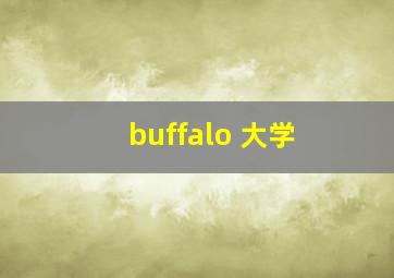 buffalo 大学